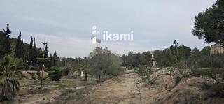 Finca rústica  16 parcela 104. Esta increíble parcela de 5,516 m en pilar de la horadada es la
