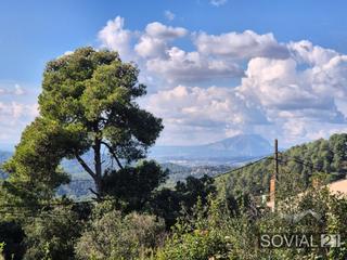 Residential Plot in Vallvidrera - Tibidabo - Les Planes. Terreno con proyecto y licencia aprobada.