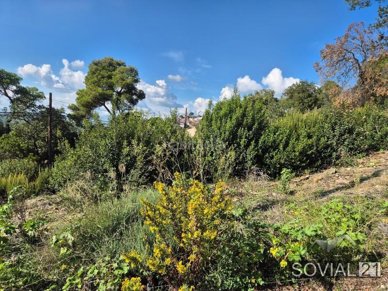 Foto 90377764-2ef9-4ddd-aa05-464ce68d1c4f. Terreny residencial a Vallvidrera - Tibidabo - Les Planes Barcelona