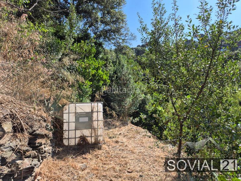 Foto 59d19a59-d938-42cd-b651-e8f4dd9e10cc. Terreno residencial oportunidad única en el rectoret collserola vallvidrera! en Barcelona
