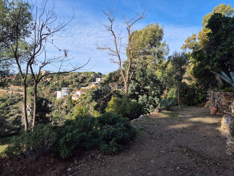 Foto 0b0da4bb-dd63-46e3-a379-950970cff8b7. Planta baixa a Vallvidrera - Tibidabo - Les Planes Barcelona