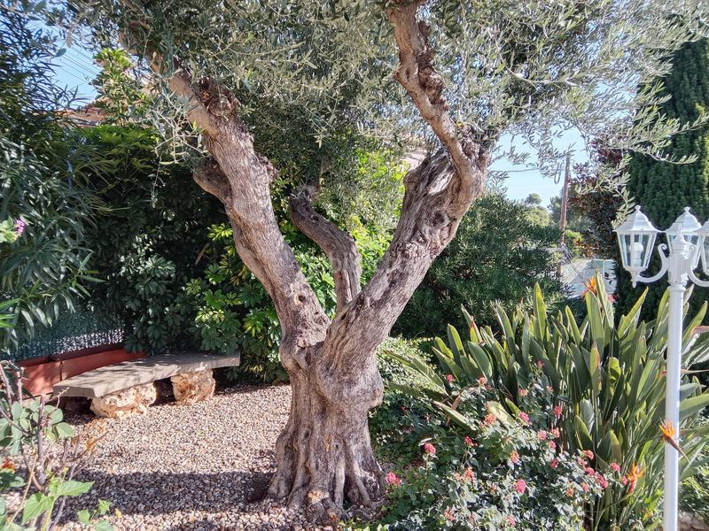 Foto de0be523-8646-4bfc-8f5a-a6a6a9d9e8cd. Casa amb aparcament piscina a Santa Susanna