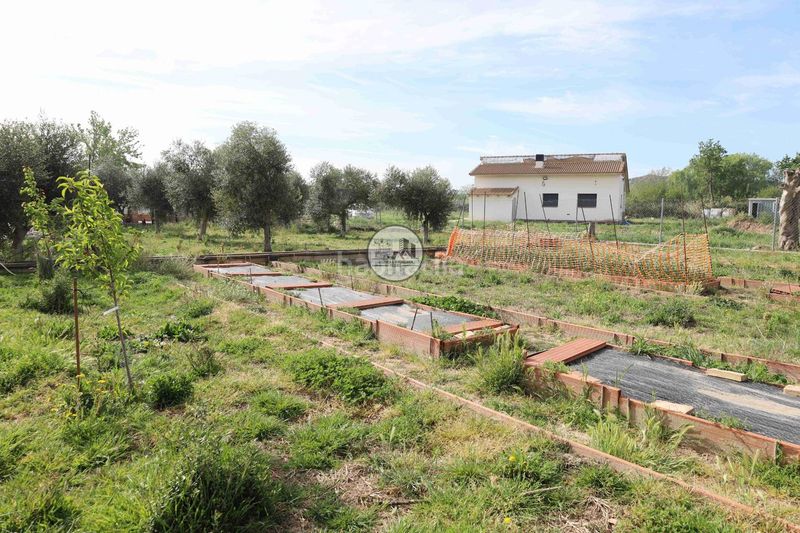Foto 9df50fc0-1df4-4aa0-83ba-c7ac975ce303. Casa másico en venta en Alcañiz