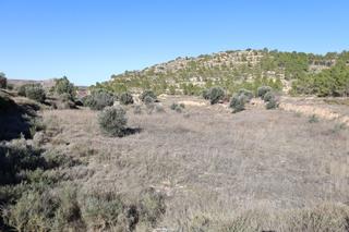 Finca rústica  Carretera castelseras. Se vende terreno próximo a la carretera de castelserás  alcañiz