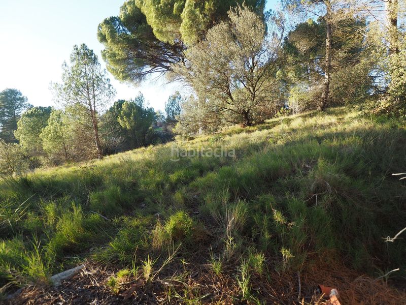 Foto 54f1e5ed-2e6f-45c0-9d34-0e481031d95d. Terreno residencial terreny en venda a sant jaume ses oliveres en Igualada