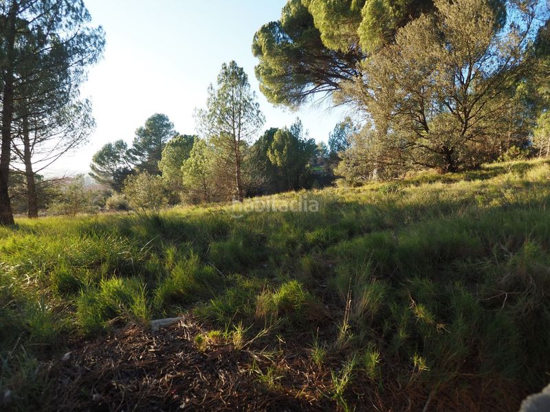 Foto a91f65ec-ab76-41cd-b08b-8f7d0f9ba5cb. Terreno residencial terreny en venda a sant jaume ses oliveres en Igualada
