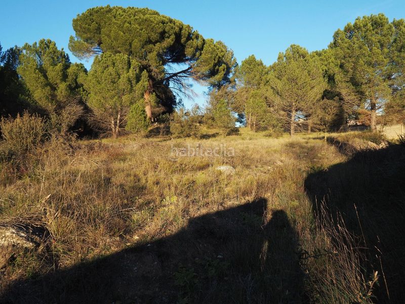 Foto d617c845-766f-4831-ab3d-664e3e3f2173. Terreno residencial terreny en venda a sant jaume ses oliveres en Igualada