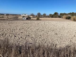 Finca rústica en Los Franceses - La Vega. Se vende parcela segregada en el fontanar
