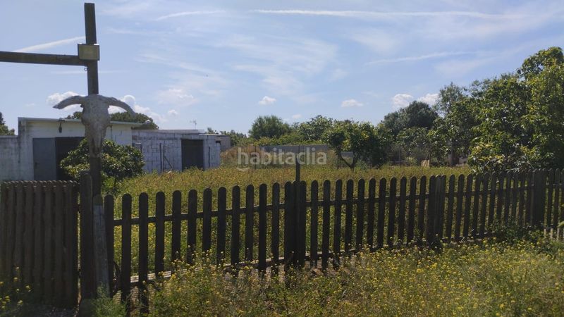 Foto ed1d3613-409e-4072-a323-9aabd9be0a76. Masia amb piscina a Pelagatos - Pago del Humo Chiclana de la Frontera