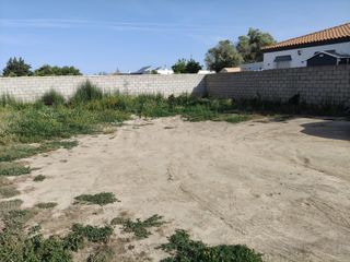 Terreny residencial a Los Franceses - La Vega
