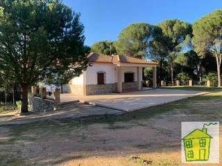 Masia a Andújar. Viña en venta en andújar