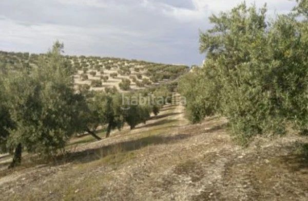 Foto e1c045b4-6b86-49bb-a553-c57c299a9225. Fondo rustico in Valdeastillas - Fuentezuelas Jaén