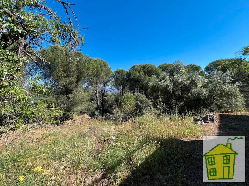 Foto 5321f402-6170-4791-83e5-8ae4c6cbf11d. Propriété dans n/a dans Andújar