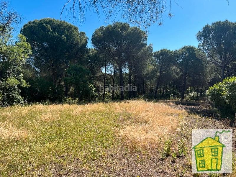Foto 64860049-4d04-426b-9175-d3b57edeb1a9. Propriété dans n/a dans Andújar