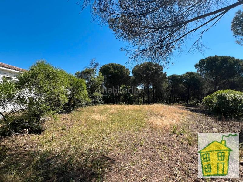 Foto a8401e89-9afb-488f-ac3a-a87ad5973493. Propriété dans n/a dans Andújar