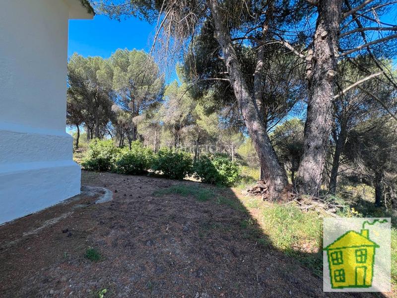 Foto db9943d3-4bce-4674-9ffa-8964a0b6568e. Propriété dans n/a dans Andújar