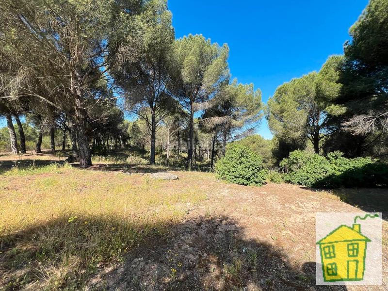 Foto ec1743fe-c88c-417f-928a-392b1aba09e5. Propriété dans n/a dans Andújar