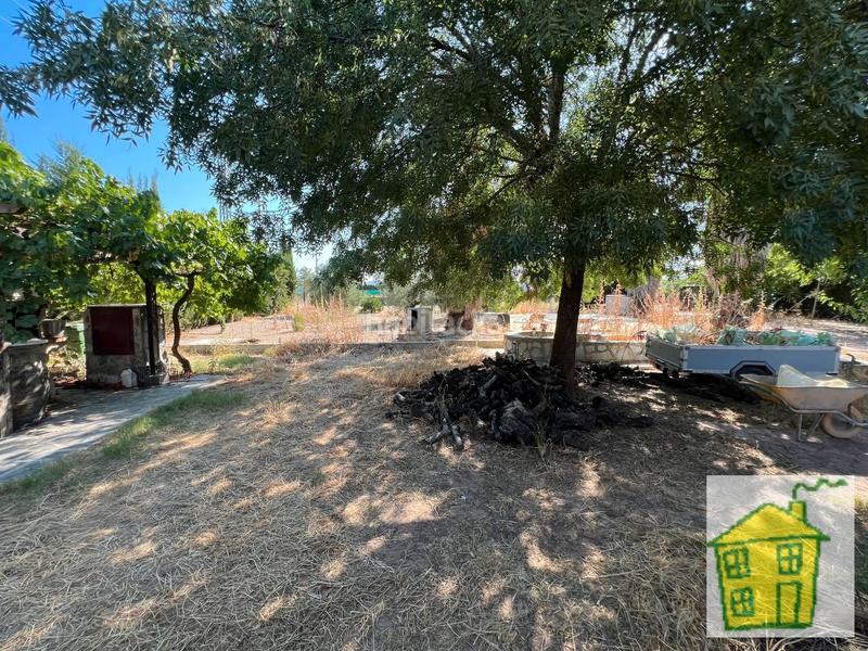 Foto 01846f44-b934-4886-8bb1-cd0e88f86fa1. Finca rústica a Andújar