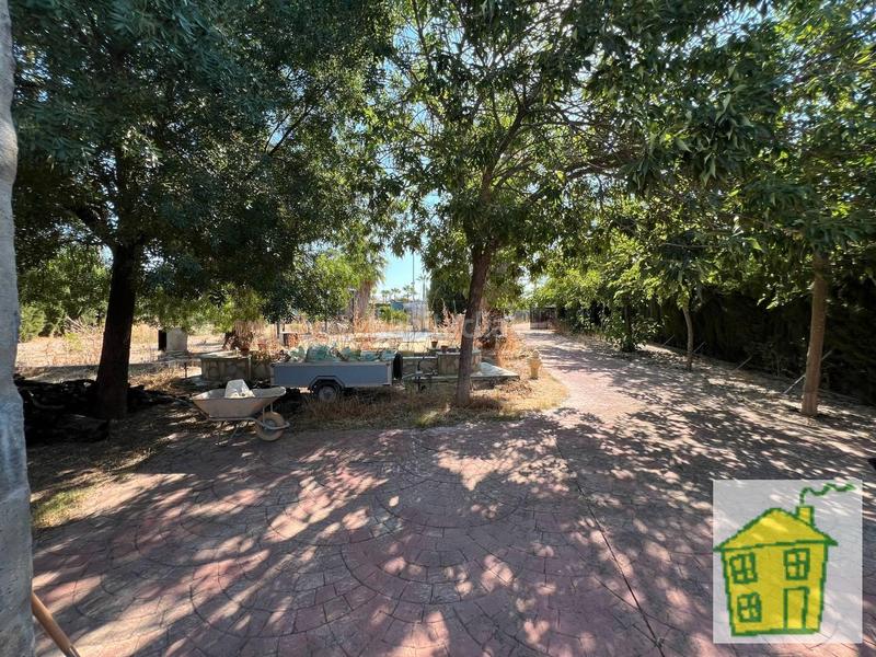 Foto 2697c258-8674-473a-acce-a1ea8e785b85. Finca rústica a Andújar