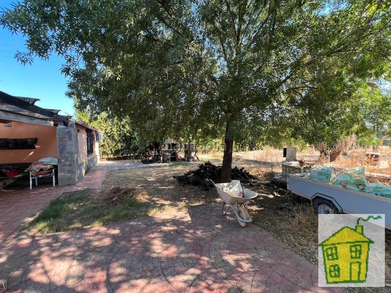 Foto 89e9b17a-786c-42e6-acf4-17354a5cff7e. Finca rústica a Andújar