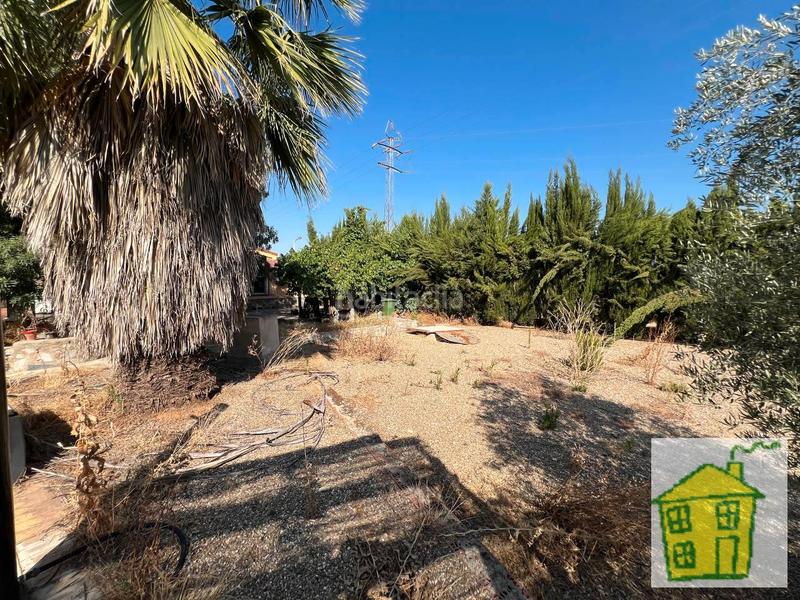 Foto aba1e59c-bf14-41a2-8bc5-242af7005db3. Finca rústica a Andújar