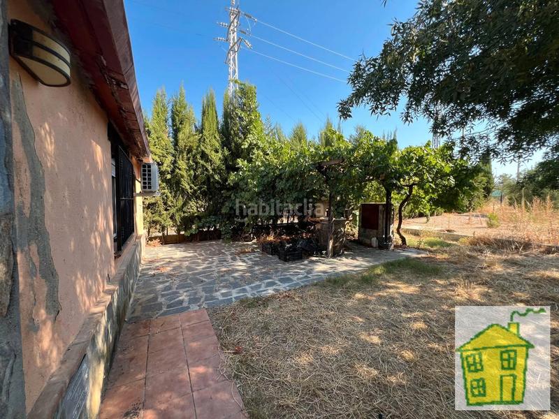 Foto c79de8e6-eadc-446d-8246-45746f4c3b73. Finca rústica a Andújar