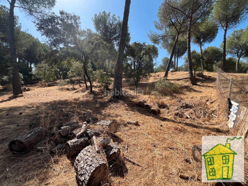 Foto 3d9b6780-e6d9-433d-a174-1b493b3b4820. Landgut in n/a in Andújar