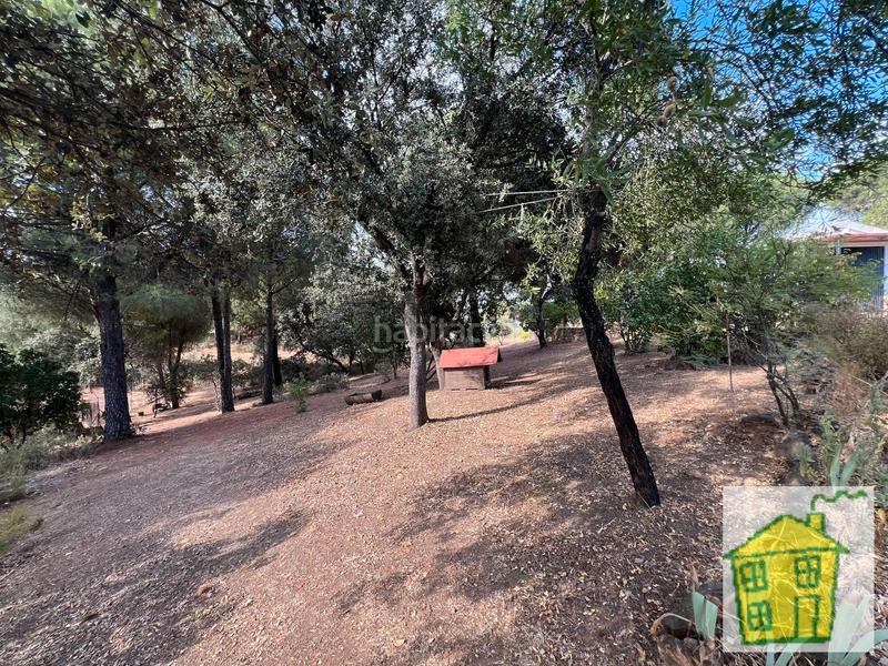 Foto e8f424f1-27f0-480c-98e2-5a31227f320e. Finca rústica a poblado del santuario virgen de la cabeza 42 a Andújar