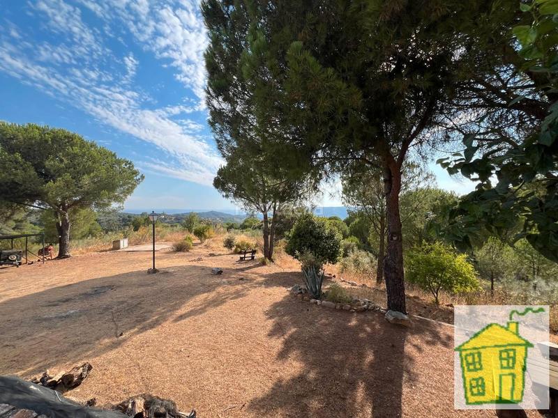 Foto ec25f016-0913-4bf5-9c49-4c17f152b92d. Finca rústica a poblado del santuario virgen de la cabeza 42 a Andújar