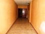 Ampliar foto 74b45bc6-0074-4f1d-a2a7-d9ab927ce6bd.jpg