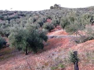 Rural plot in N/a
