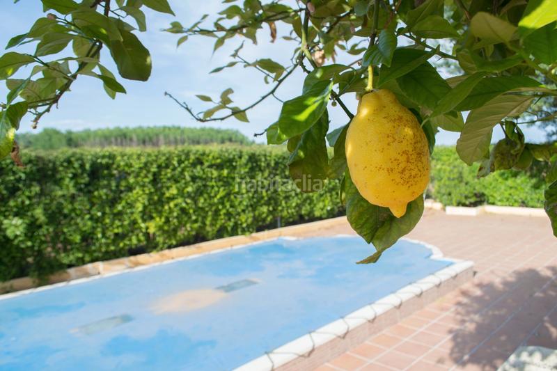 Foto d19735de-c7d2-4f96-879a-1800f9cb3c2d. Masia amb xemeneia a Andújar