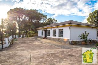 Bauernhof  N/a. Viña en venta en sierra de andújar