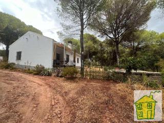 Masia  N/a. Viña en venta en andújar