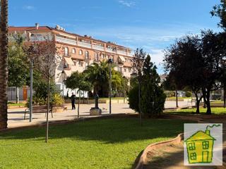 Pis  Calle margarita córcoles aldehuela 4. Piso en venta en plaza del camping