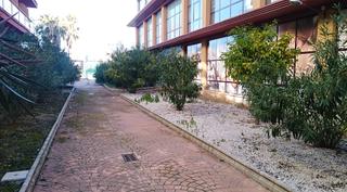 Local commercial à N/a. Locales en guardia de jaén (la)