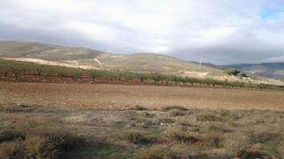 Terreny residencial a Jabalcuz. Terreno en venta en sect buenavista b46 jabalcuz, jaén, jaén