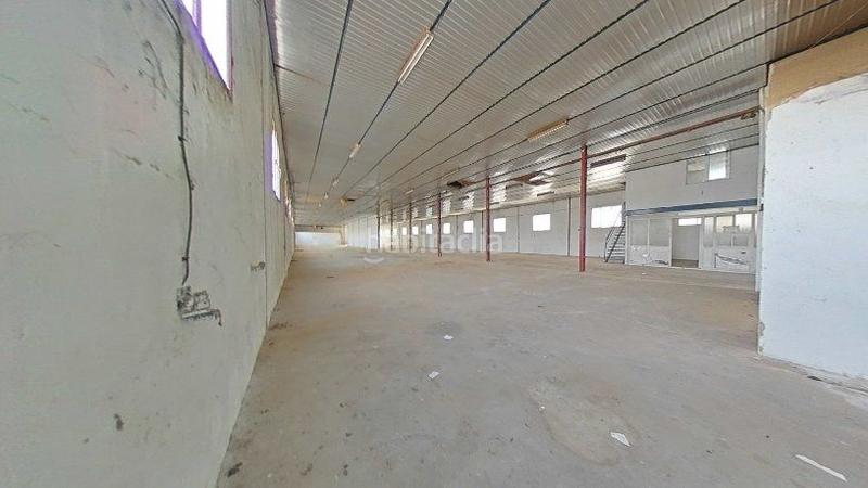 Foto 9eeacc6d-f17b-4751-8c7e-3d3b01dcb536. Capannone industriale in Mancha Real