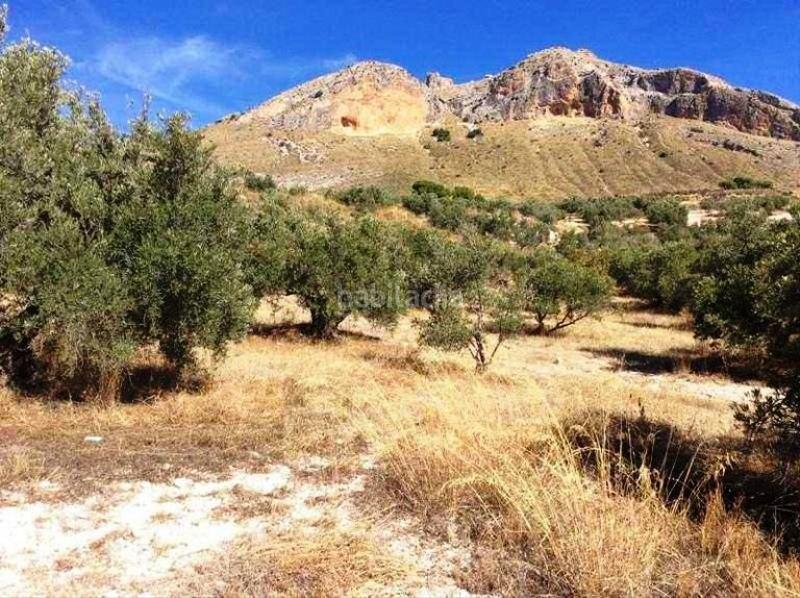 Foto 496933df-3cd1-4d5a-9563-92ef9a2f3e60. Finca rústica promoción de terrenos en venta en pre. barranco de la adelfa en la provincia de jaén en Bedmar y Garcíez