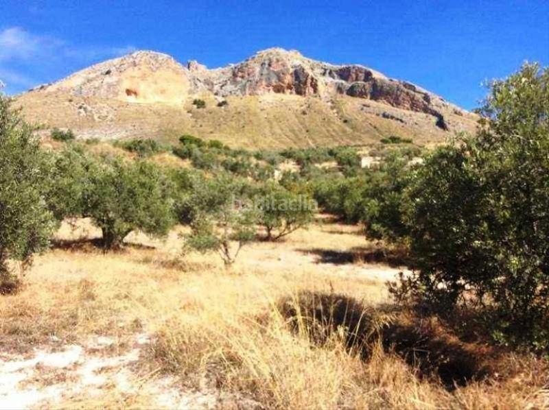 Foto 8b53e323-b781-4d65-8974-b555448a8436. Finca rústica promoción de terrenos en venta en pre. barranco de la adelfa en la provincia de jaén en Bedmar y Garcíez