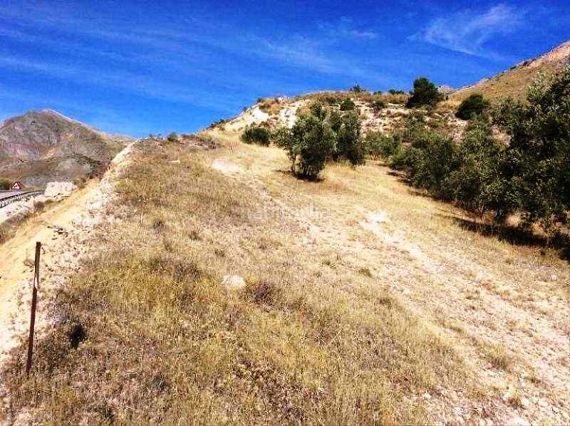 Foto ea322e57-cb88-4dc5-ade7-142ae7bf55c9. Finca rústica promoción de terrenos en venta en pre. barranco de la adelfa en la provincia de jaén en Bedmar y Garcíez