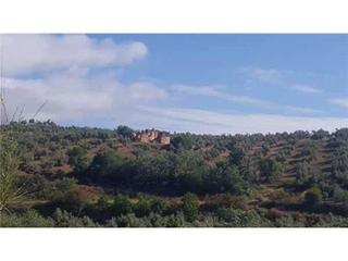 Finca rústica  Calle calesera. Promoción de terreno en venta en pre. cortijo villares en la pro