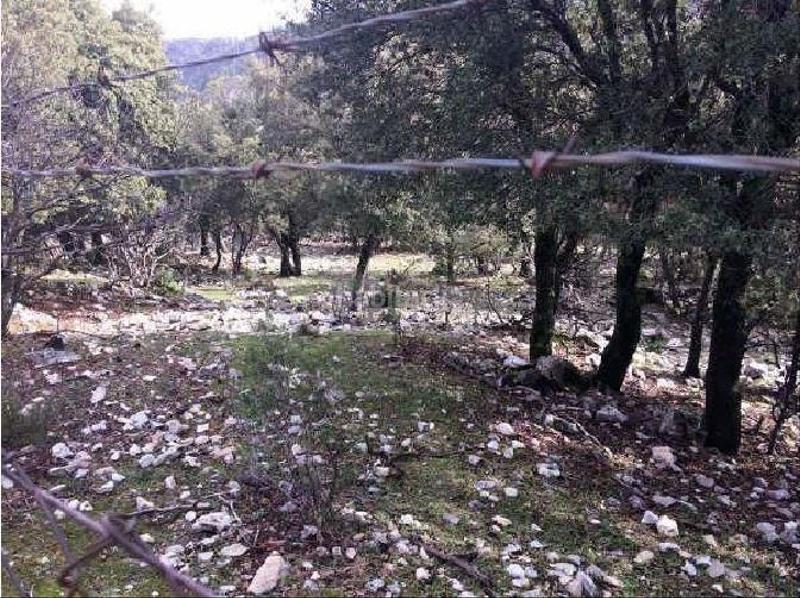 Foto 9c618c59-964a-45ba-847f-4e3a8b6681f8. Propriété dans Pozo Alcón