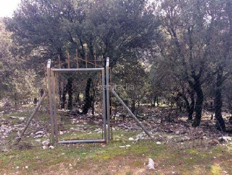 Foto bca8e101-6178-4fbc-9b9f-b9e70147a942. Propriété dans Pozo Alcón