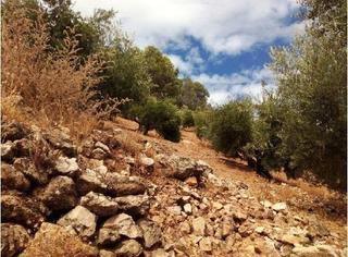 Finca rústica  Calle tejares. Terreno rústico en venta en pre. la muela, pago la era, pol 36,