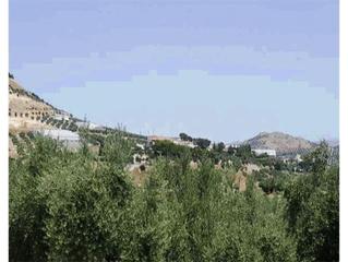 Finca rústica a Alcantarilla - La Glorieta. Promoción de terrenos en venta en sitio zumbel en la provincia d