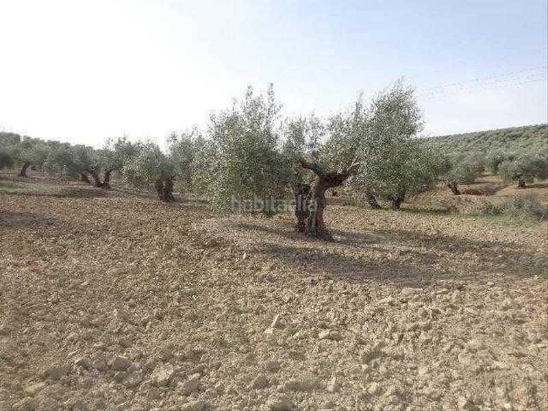 Foto 819b533c-5490-44a3-8b9a-b40935e826c4. Landgut in Lahiguera