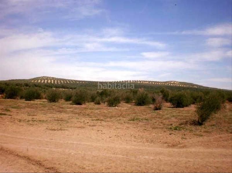 Foto 8c23a10c-20d9-4244-8604-14df6e191728. Landgut in Lahiguera