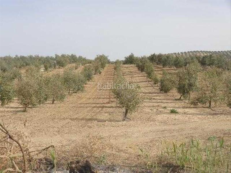 Foto 9c200fb1-7780-4d01-bd0a-2c95b85e9526. Landgut in Lahiguera