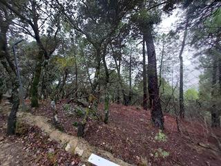 Finca rústica  Calle la iruela. Terreno rústico en venta en pre. poyo gabino, iruela, la, jaén